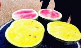 最新吃瓜爆料四川,揭秘明星幕后故事